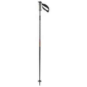 Prezzi Salomon polar pro s3 bastoncini da sci (130 cm, verde)