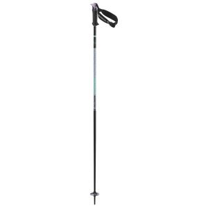 Prezzi Salomon polar pro s3 bastoncini da sci (105 cm, porpora)