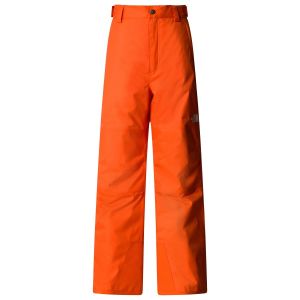 Prezzi The north face boy\'s freedom insulated pant pantaloni da sci (l, rosso)