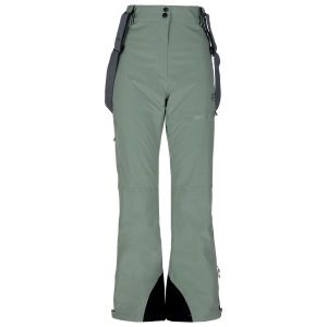 Prezzi 2117 of sweden women\'s nausta pant pantaloni da sci (xs, verde)